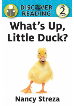 What's Up Little Duck