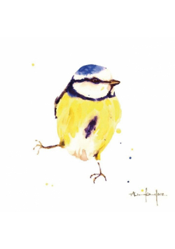 Karnet kwadrat mały z kopertą Blue Tit