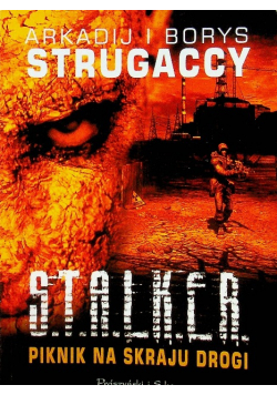 Stalker Piknik Na Skraju Drogi