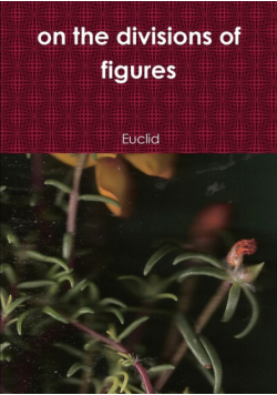on the divisions of figures