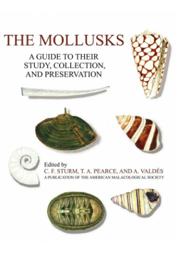 The Mollusks