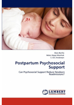 Postpartum Psychosocial Support