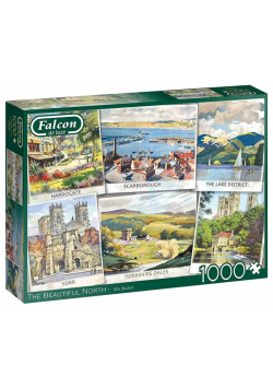 Puzzle 1000 Falcon Piękna północ G3