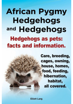 African Pygmy Hedgehogs and Hedgehogs. Hedgehogs as Pets