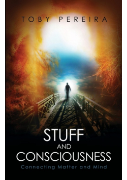 Stuff and Consciousness