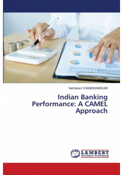 Indian Banking Performance