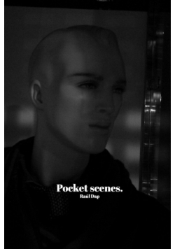 Pocket scenes.