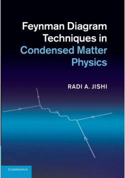 Feynman Diagram Techniques in Condensed Matter Physics