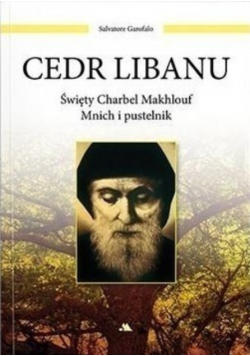 Cedr Libanu Święty Charbel Makhlouf