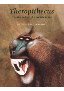 Theropithecus