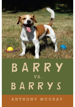 Barry Vs. Barrys