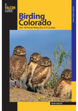 Birding Colorado