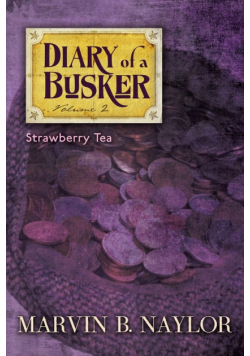 Diary of a Busker