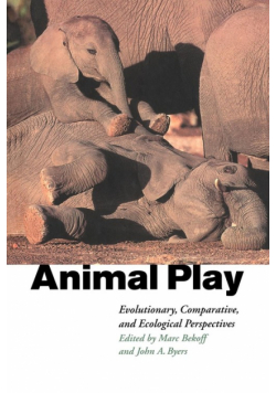 Animal Play