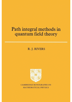 Path Integral Methods in Quantum Field Theory