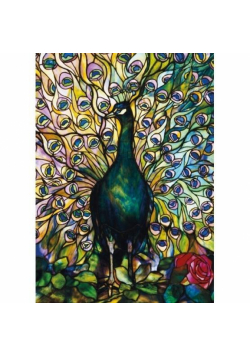 Karnet B6 z kopertą Peacock