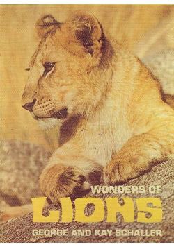 Wonders of Lions