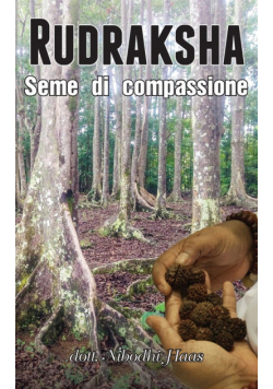 Rudraksha - Seme di compassione
