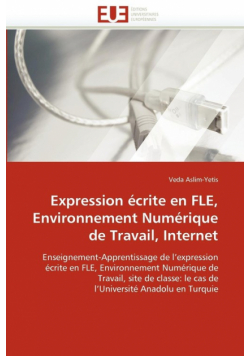 Expression écrite en fle, environnement numérique de travail, internet