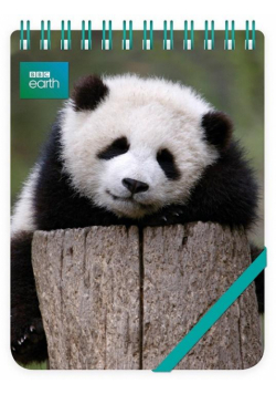 Kołonotes ozdobny Giant Panda Baby