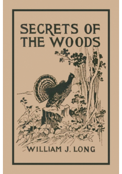 Secrets of the Woods (Yesterday's Classics)