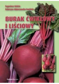 Burak ćwikłowy i liściowy HORTPRESS