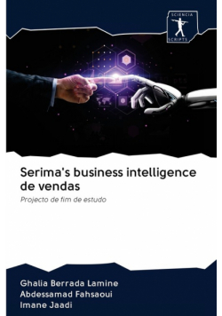 Serima's business intelligence de vendas