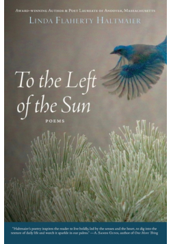 To the Left of the Sun