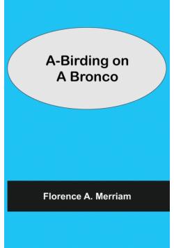 A-Birding on a Bronco