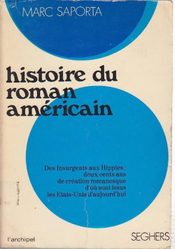 Histoire du roman americain