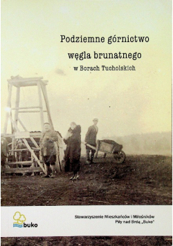 Podziemne górnictwo węgla brunatnego