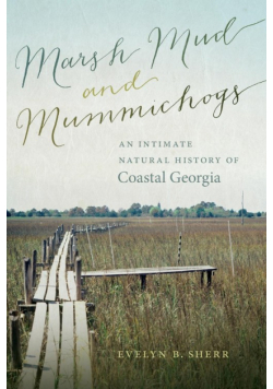 Marsh Mud and Mummichogs