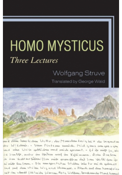 Homo Mysticus