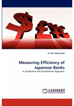 Measuring Efficiency of Japanese Banks