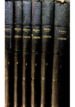Wykłady o literaturze słowiańskiej ok 1900 r 6 tomów