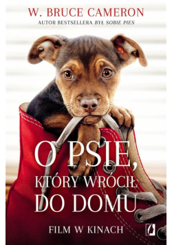 O psie który wrócił do domu