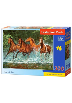 Puzzle 300 Cascade Run CASTOR