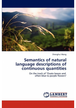 Semantics of natural language descriptions of continuous quantities