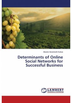 Determinants of Online Social Networks for Successful Business