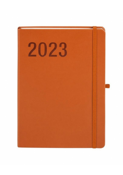 Kalendarz 2023 Minimalizm B5 brązowy TNS ANTRA