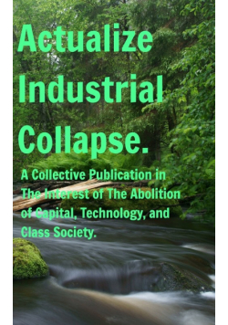 Actualize Industrial Collapse - A Collective Manifesto