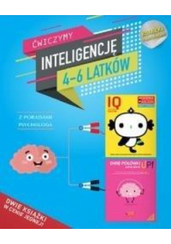 AIM. Ćwiczymy inteligencję 4-6 latków pakiet