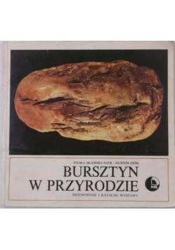 Bursztyn w przyrodzie