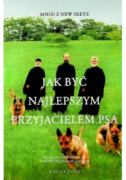 Jak być najlepszym przyjacielem psa