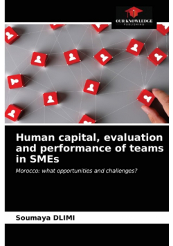 Human capital, evaluation and performance of teams in SMEs