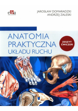 Anatomia praktyczna układu ruchu Ćwiczenia