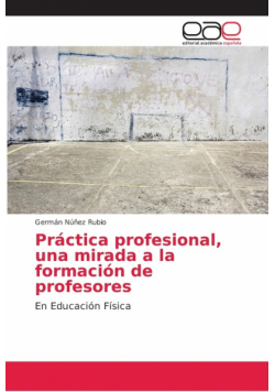 Práctica profesional, una mirada a la formación de profesores
