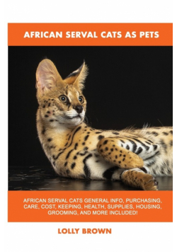 African Serval Cats as Pets