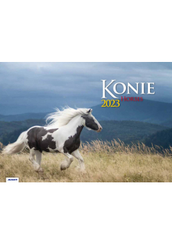 Kalendarz 2023 albumowy Konie  KA10