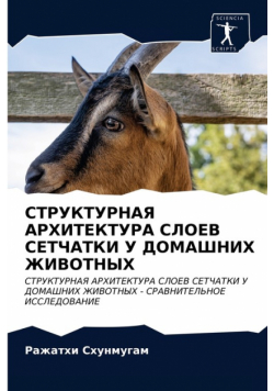 СТРУКТУРНАЯ АРХИТЕКТУРА СЛОЕВ СЕТЧАТКИ У ДОМАШНИХ ЖИВОТНЫХ